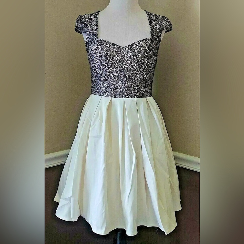 Black Lace & Ivory Pleated Fit & Flare Retro Formal Dress by Chi Chi 8